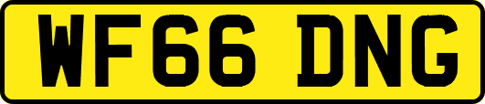 WF66DNG