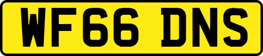 WF66DNS