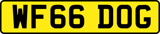 WF66DOG
