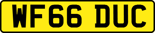 WF66DUC