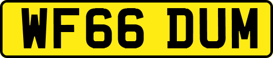 WF66DUM