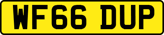 WF66DUP