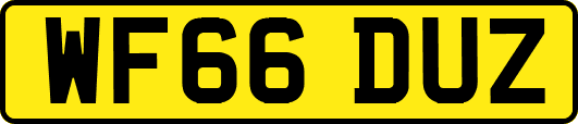 WF66DUZ