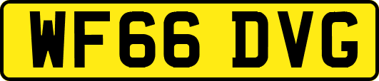 WF66DVG