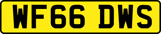 WF66DWS