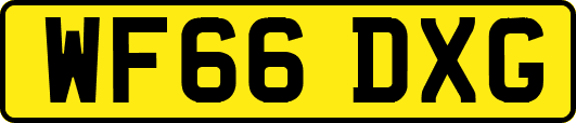 WF66DXG