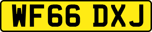 WF66DXJ