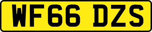 WF66DZS