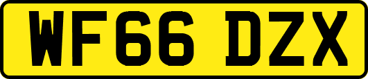 WF66DZX