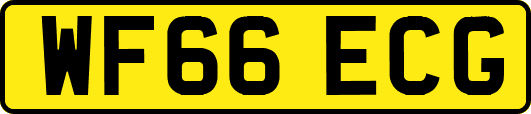 WF66ECG