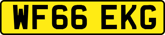 WF66EKG