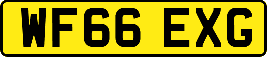 WF66EXG