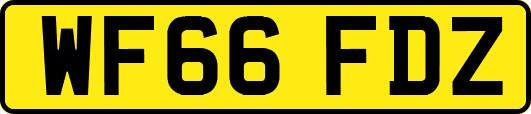 WF66FDZ