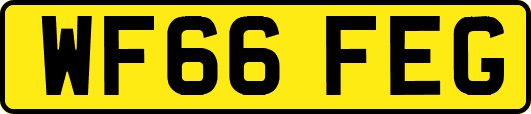 WF66FEG