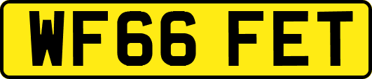 WF66FET