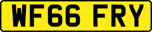 WF66FRY