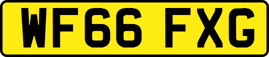 WF66FXG