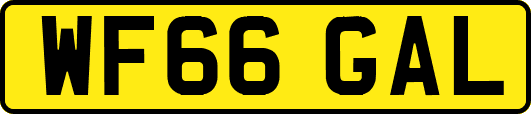 WF66GAL