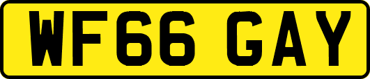 WF66GAY