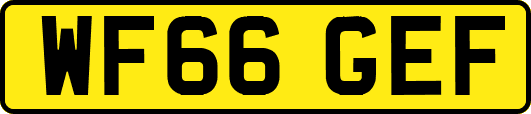 WF66GEF
