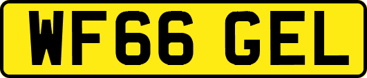 WF66GEL