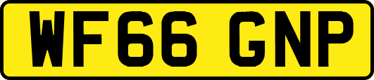 WF66GNP
