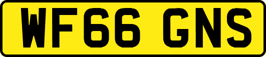 WF66GNS