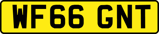 WF66GNT