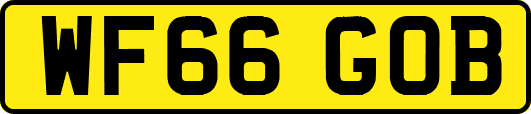 WF66GOB