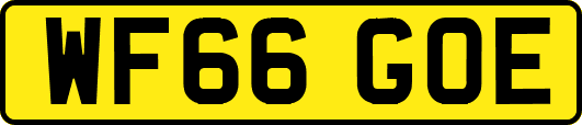 WF66GOE