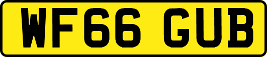 WF66GUB