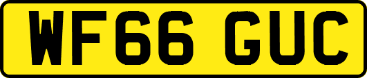 WF66GUC