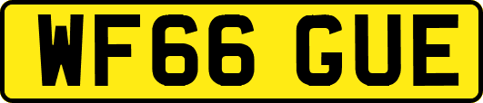 WF66GUE