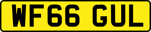 WF66GUL