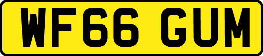 WF66GUM