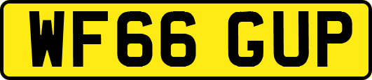 WF66GUP