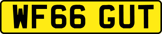 WF66GUT