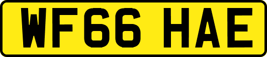 WF66HAE