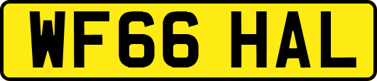 WF66HAL