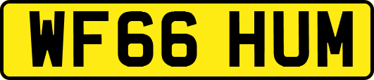 WF66HUM