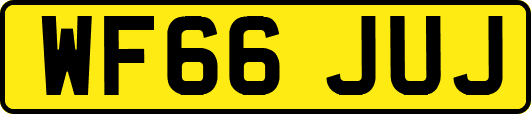 WF66JUJ