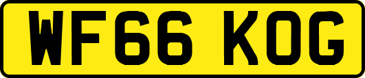 WF66KOG