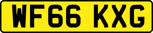 WF66KXG