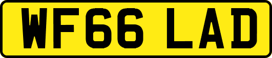 WF66LAD