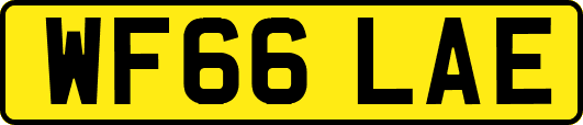 WF66LAE