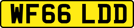 WF66LDD