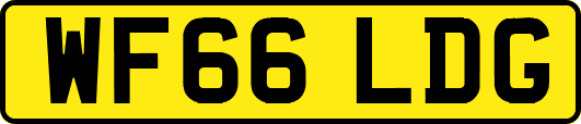 WF66LDG