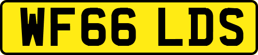 WF66LDS
