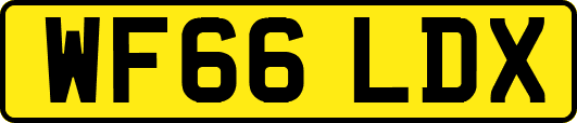WF66LDX