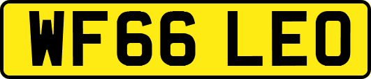 WF66LEO